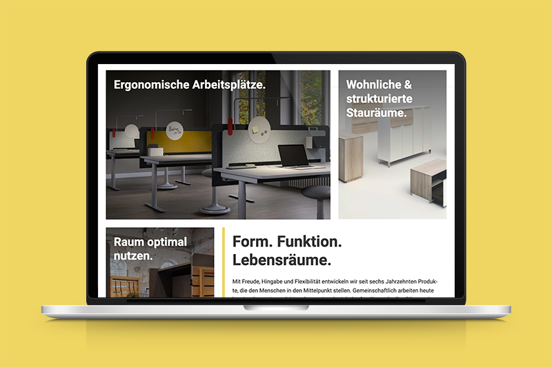Fleischer Website
